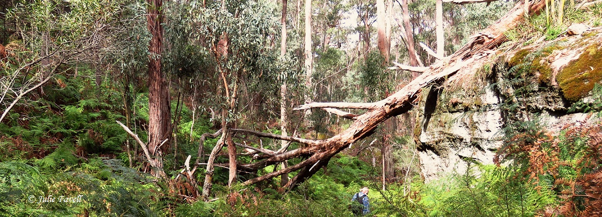 Above Maiyingu Marragu