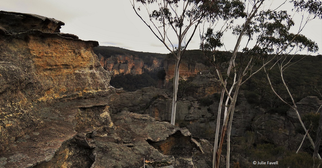 Above Wolgan Falls GoS SCA