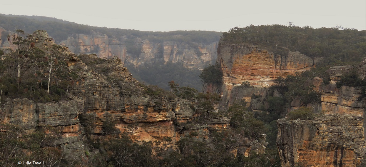 Above Wolgan Falls GoS SCA