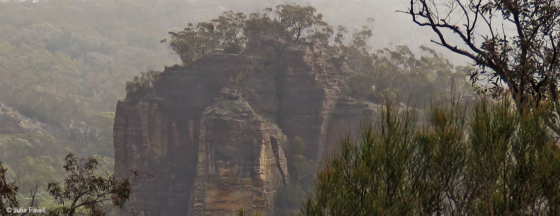 Above Wolgan Falls GoS SCA