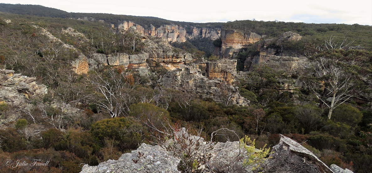 Above Wolgan Falls GoS SCA