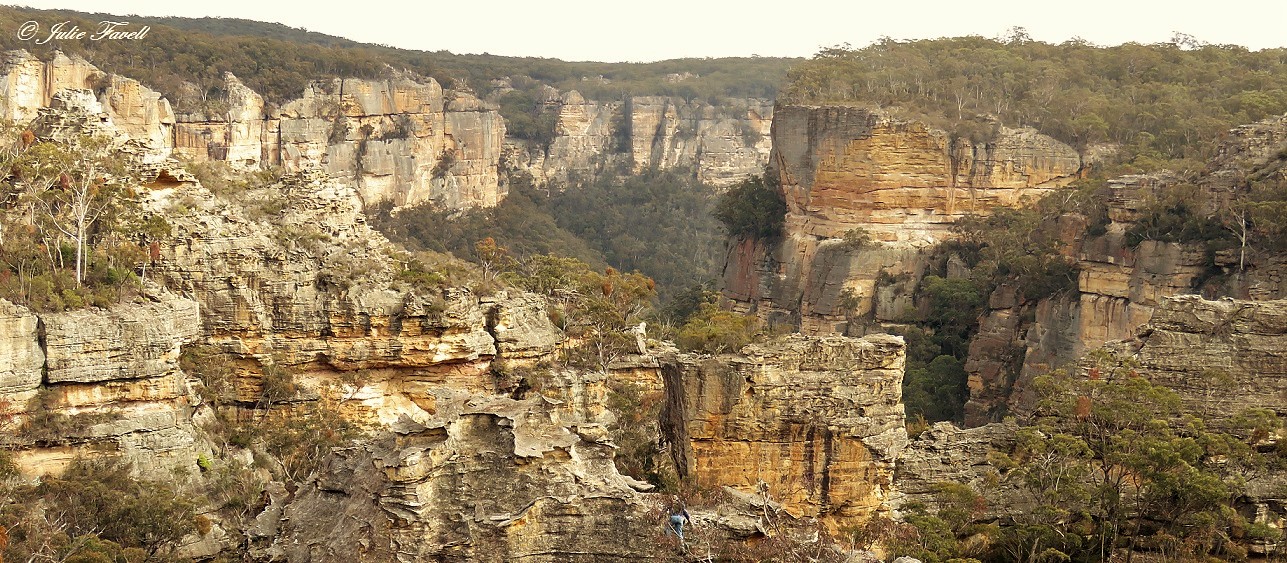 Above Wolgan Falls GoS SCA