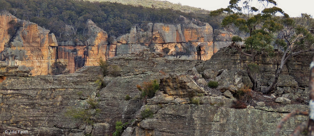 Above Wolgan Falls GoS SCA