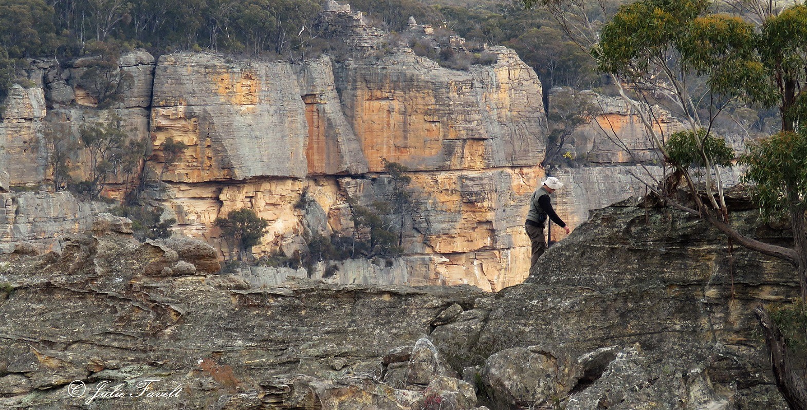 Above Wolgan Falls GoS SCA