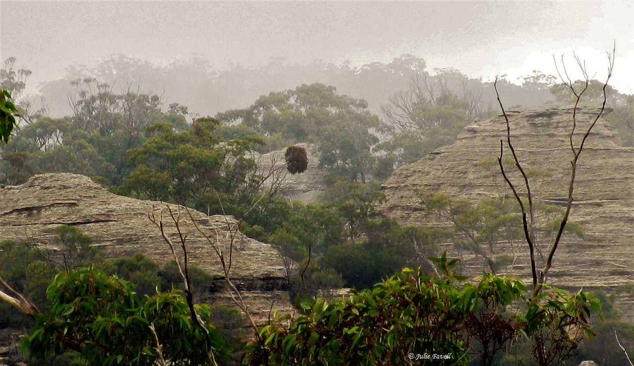 Baal Bone gap GoS SCA aka BBSF  March 2009