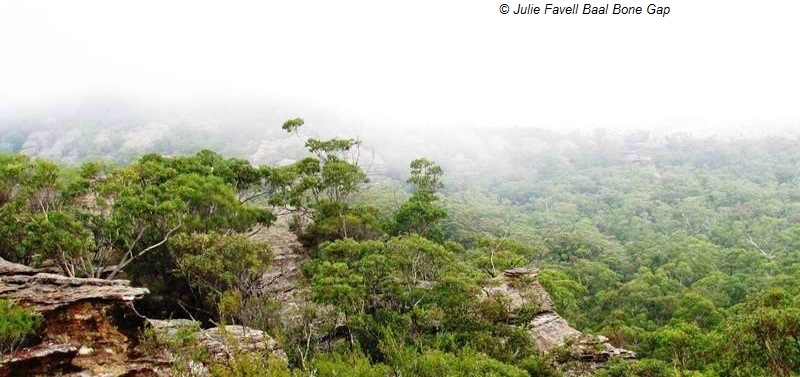 Baal Bone gap GoS SCA aka BBSF  March 2009