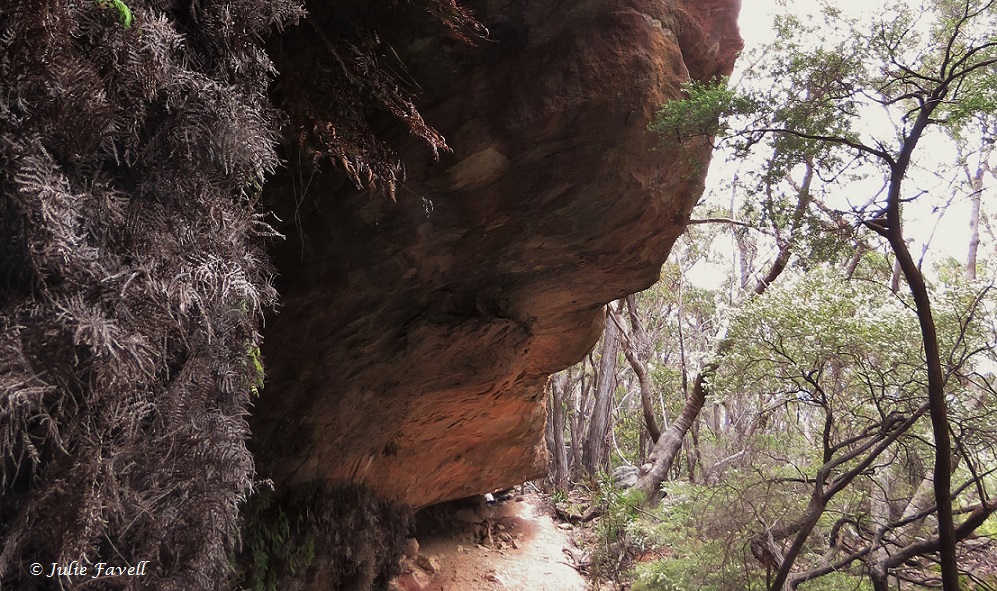 Below Invincible Trail western GoS SCA Cullen Bullen