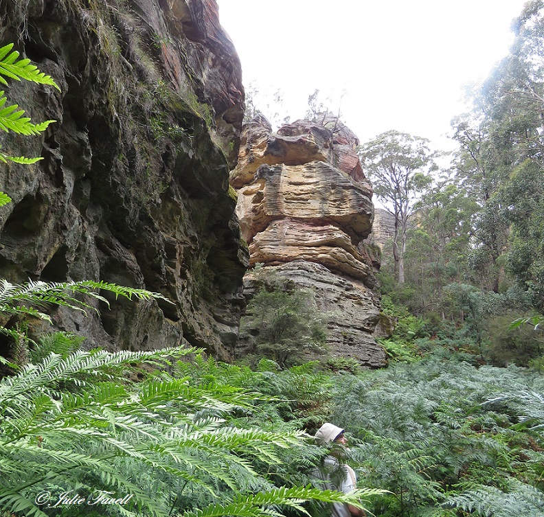 Below Invincible Trail western GoS SCA Cullen Bullen