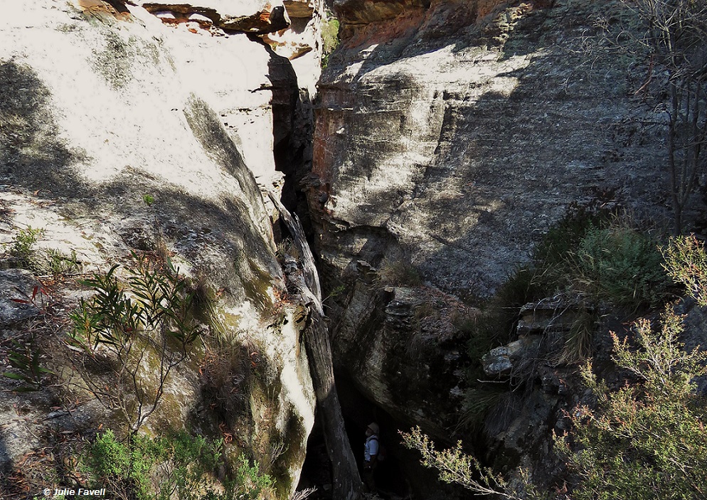 Cave entrance above Invincible Open Cut Mine nautral areas GoS SCA BBSF