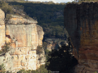 Above Wolgan Falls GoS SCA aka NSF