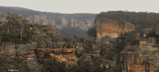 Above Wolgan Falls GoS SCA