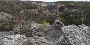 Above Wolgan Falls GoS SCA