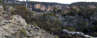 Above Wolgan Falls GoS SCA