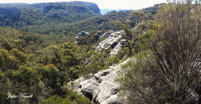 Baal Bone Trail Gos SCA aka BBSF