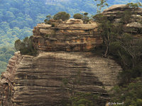 Baal Bone Trail western GoS SCA 3