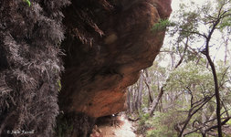 Below Invincible Trail western GoS SCA Cullen Bullen