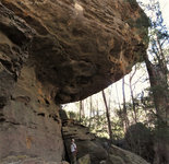 Bi centennial Trail Long Swamp GoS SCA aka BBSF