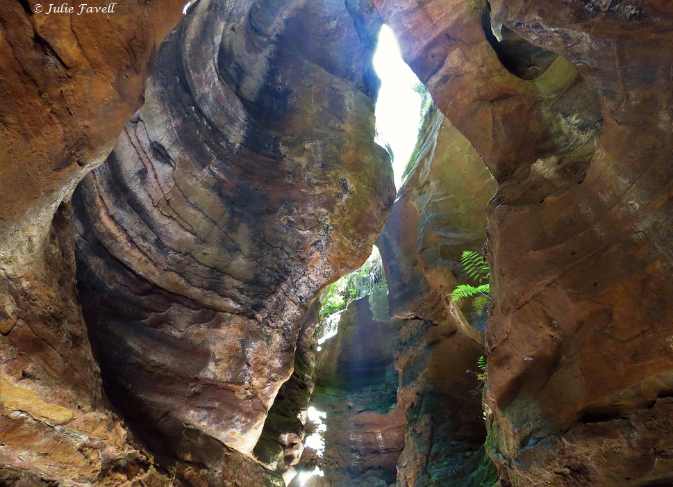 Dry Canyon Wollemi NP