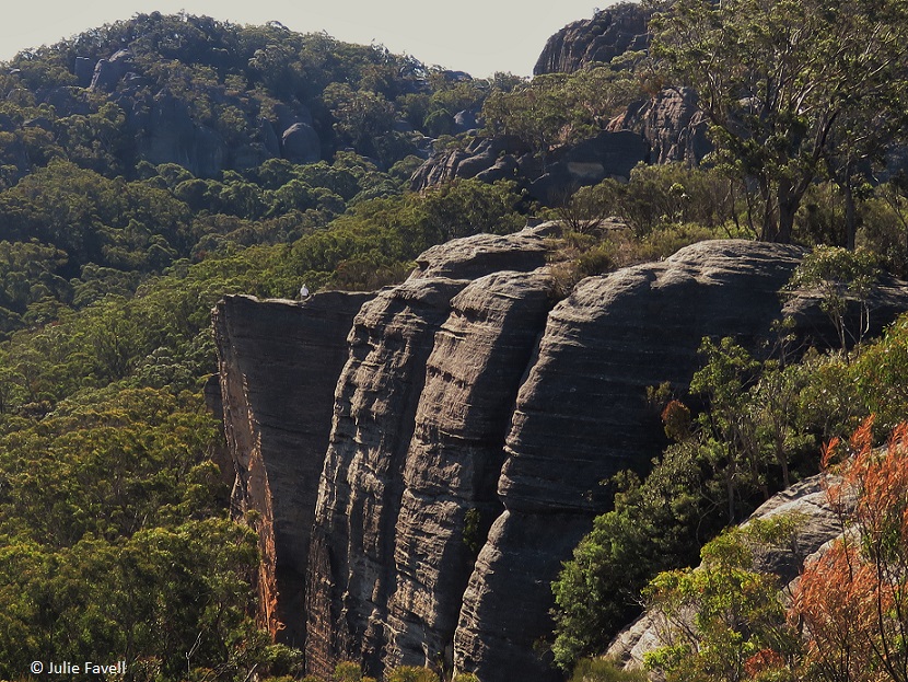 GoS SCA aka  Wolgan SF