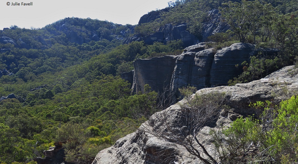 GoS SCA aka  Wolgan SF