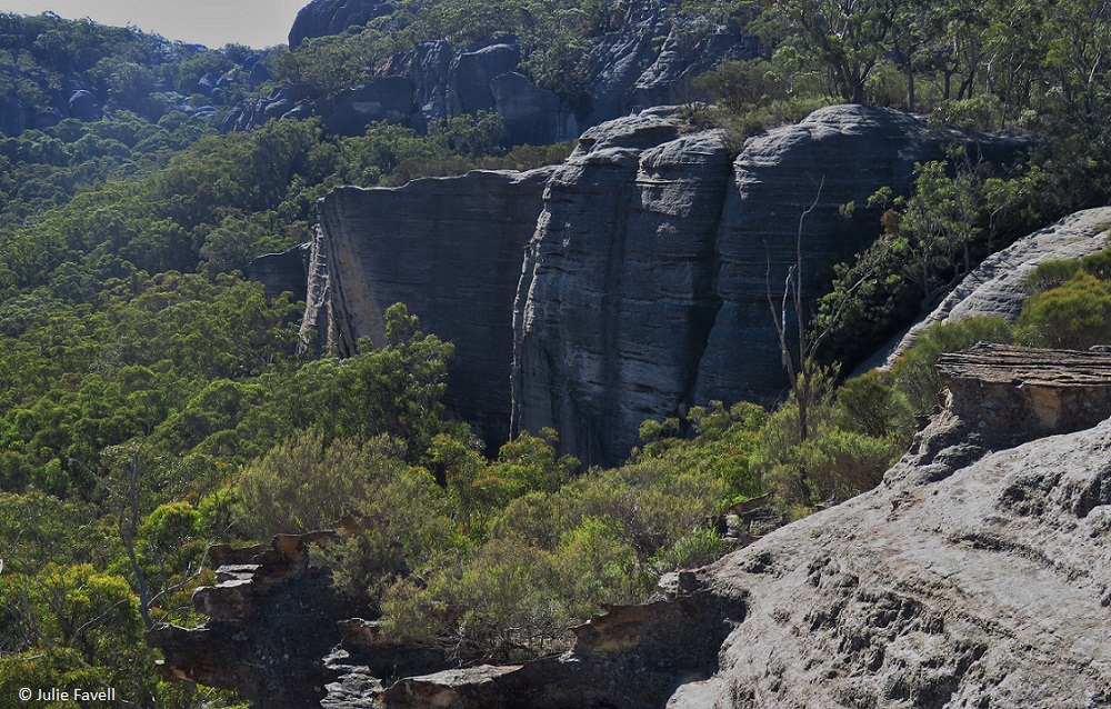 GoS SCA aka  Wolgan SF