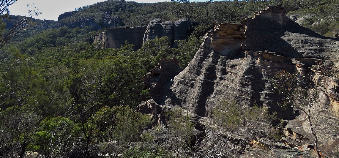 GoS SCA aka  Wolgan SF