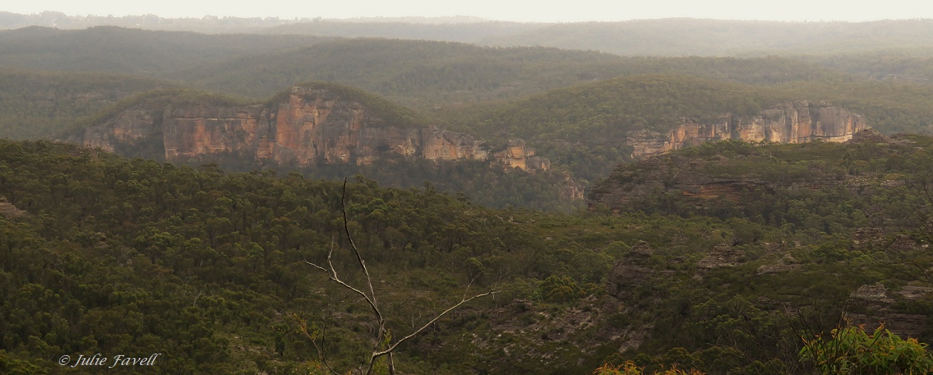  Grose Valley Dalpura Ridge