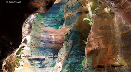 Dry Canyon Wollemi NP