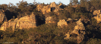 Gardens of Stone SCA aka BBSF just below Invincible Open Cut Mine Western area