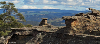 GoS SCA  aka Ben Bullen SF western edge above Cullen Valley open cut mine