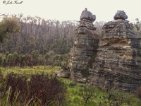 Headwaters Marrangaroo Swamp System GoS SCA aka Newnes SF