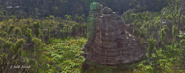 Headwaters Marrangaroo Swamp System GoS SCA aka Newnes SF