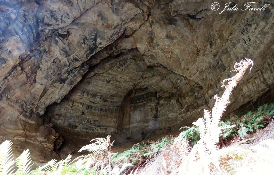 Cathedral Cave NSF GoS SCA