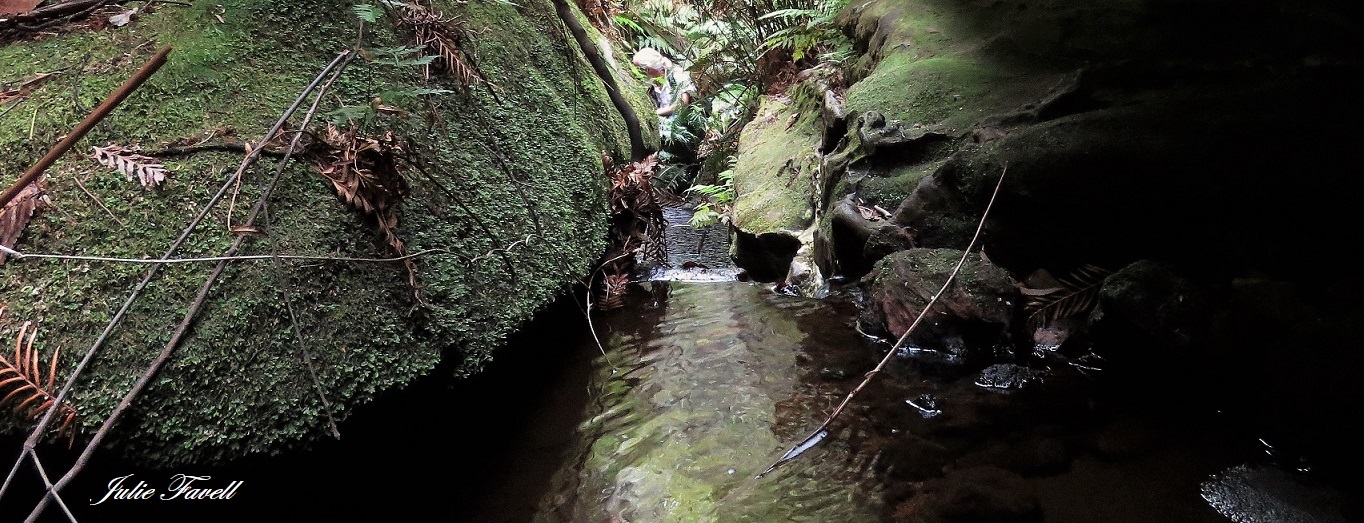 Unknown location BM Nat Park