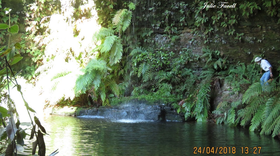 Pool of Diana GoS SCA aka NSF