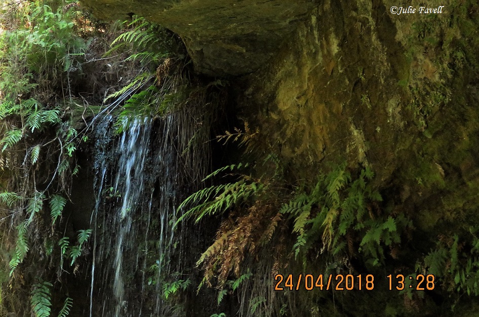 Pool of Diana GoS SCA aka NSF