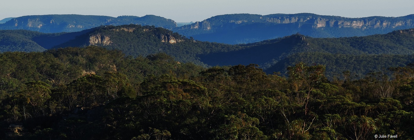 Invincible Trail Western part of GoS SCA aka BBSF Pagoda formations above Invincible Open Cut Mine Cullen Bullen