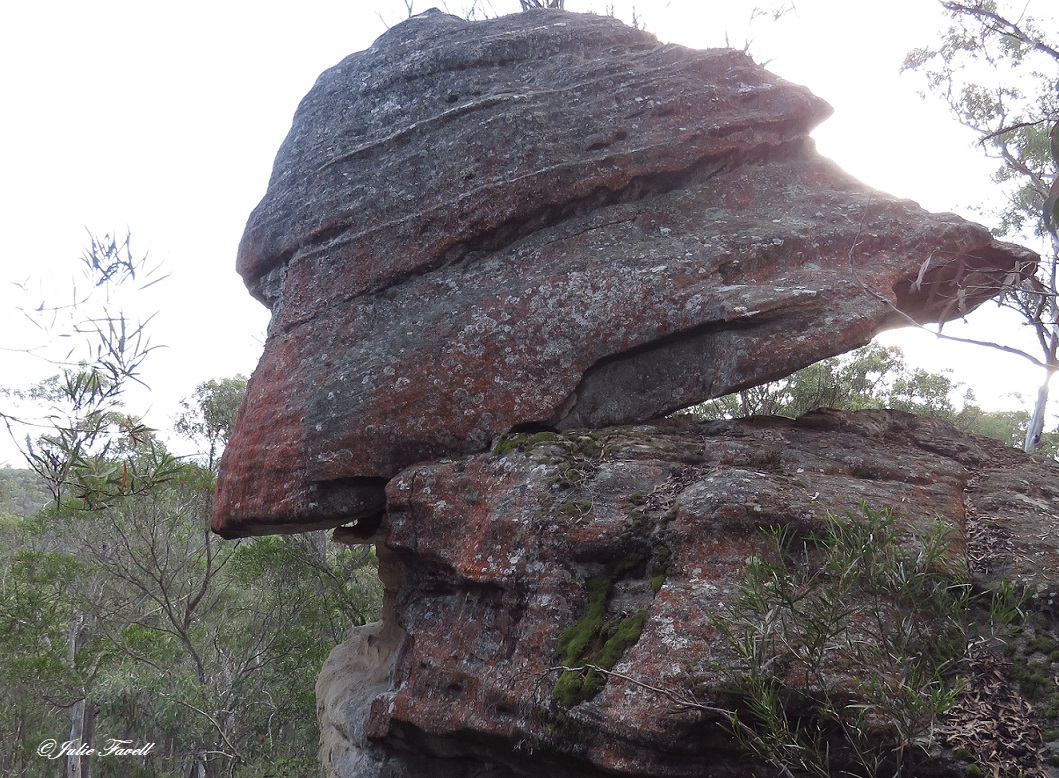 Invincible Trail Western part of GoS SCA aka BBSF Pagoda formations above Invincible Open Cut Mine Cullen Bullen