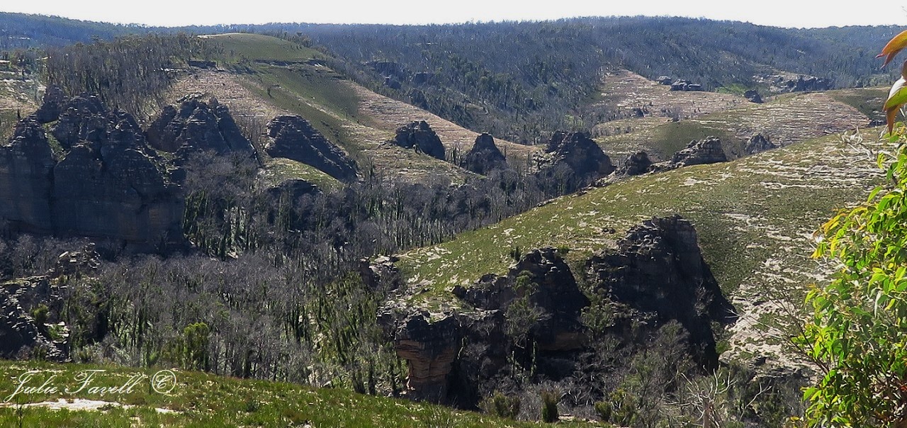 Lost City South GoS SCA aka NSF. Marrangaroo Creek below