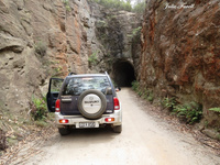 Glow Worm Tunnels 2013