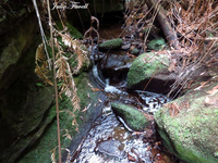 Unknown location BM Nat Park