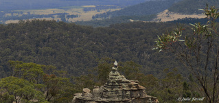 Invincible Trail Western part of GoS SCA aka BBSF Pagoda formations above Invincible Open Cut Mine Cullen Bullen