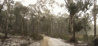 Long Swamp Trail western Hail Storm GoS SCA aka BBSF