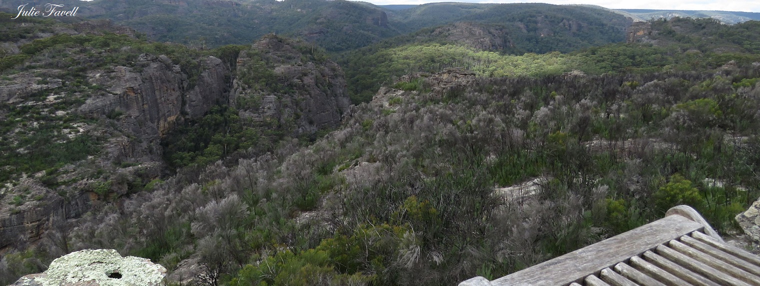 Ridgeline above Dingo Creek