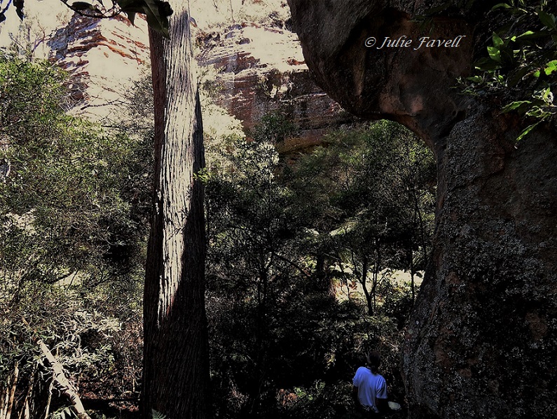 Small gully escarpment GoS SCA off Bicentennial Trail