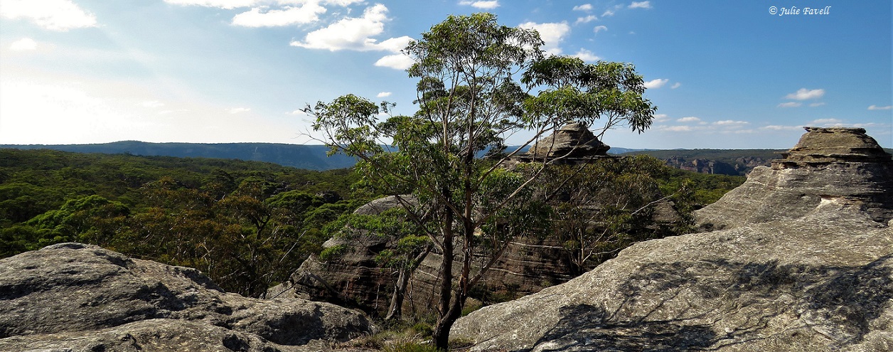  Temples of Doom GoS SCA Newnes Plateau 