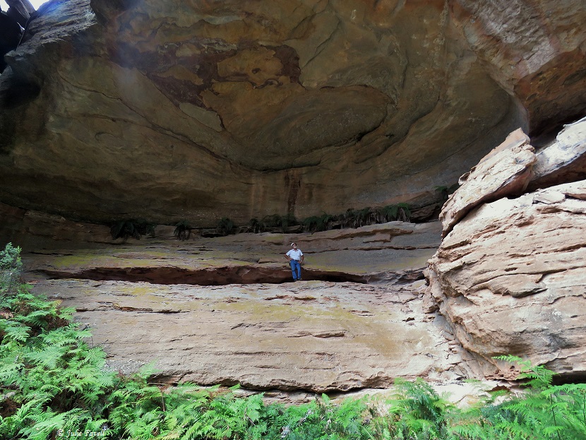  That Cave Directly above Invincible Open Cut mine but in the GoS SCA aka BBSF 