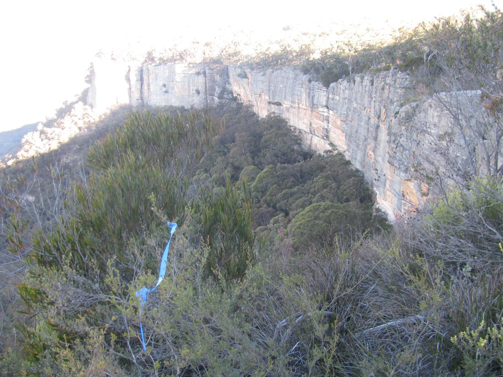 Aboriginal Hands Cave - GoS SCA Wolgan SF