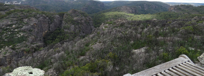 Ridgeline above Dingo Creek