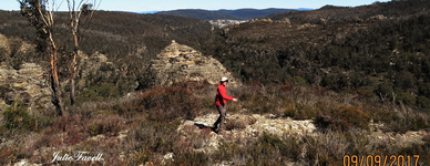 The Drift I personally named this pagoda  in 2017 The Great Sphinx of Lithgow GoS A campaign 2017